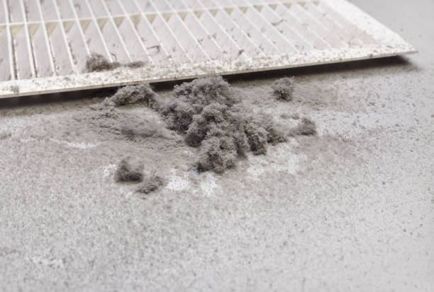 Best Emergency Air Duct Cleaning  in Wayland, MI