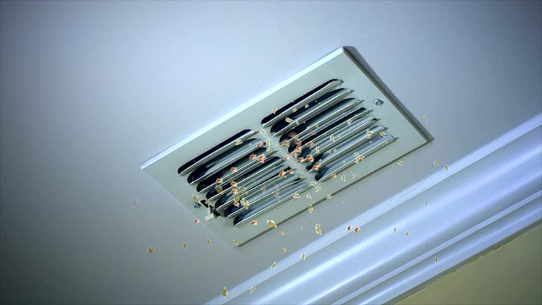 Best General Air Duct Cleaning  in Wayland, MI