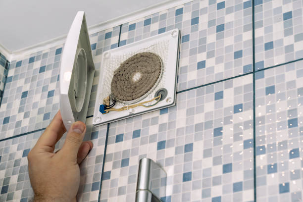 Best Affordable Air Duct Cleaning  in Wayland, MI