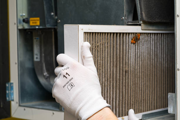 Best Affordable Duct Cleaning Services  in Wayland, MI