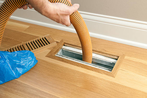 Best Local Air Duct Cleaning Services  in Wayland, MI